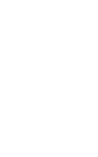 2-solid